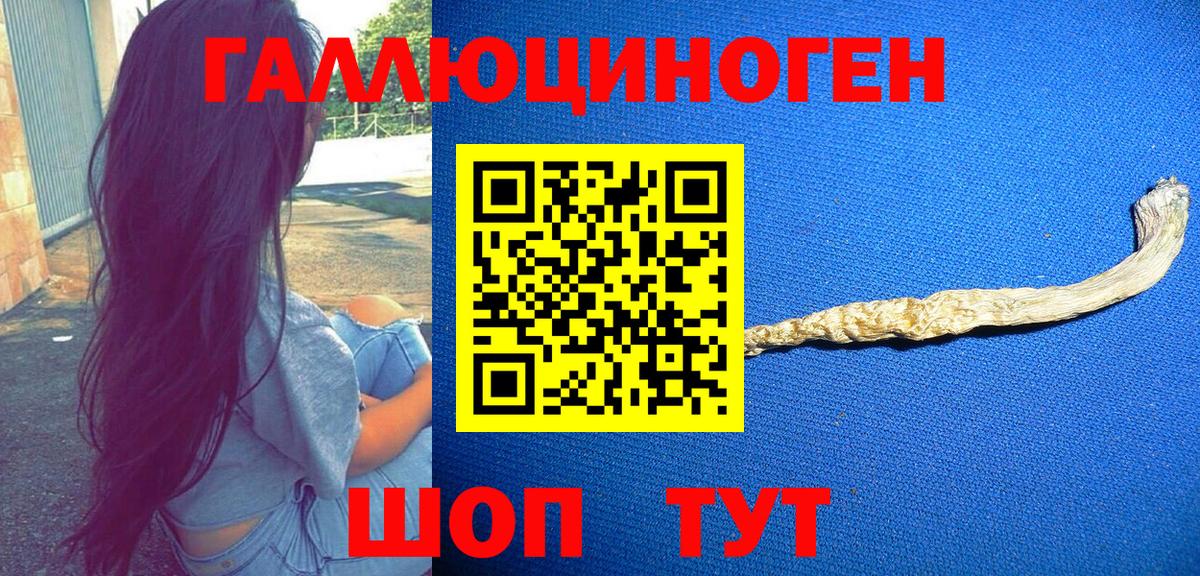 Псилоцибиновые грибы Magic Shrooms Сибай